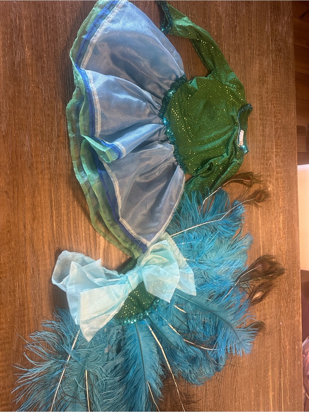 Girls Green and Blue Peacock-Inspired Halloween Costume with Feather Headpiece